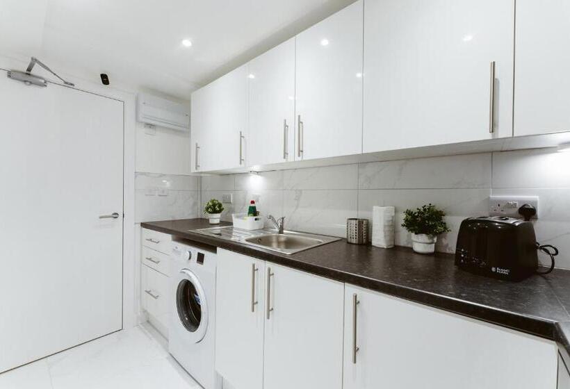 פנסיון The Finsbury Park Star Apartments