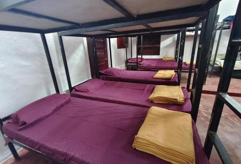 Общежитие Paradise Dormitory Vattavada