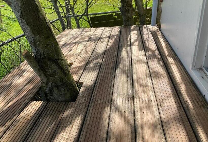 ベッドアンドブレックファースト Het Oude Strandhuis