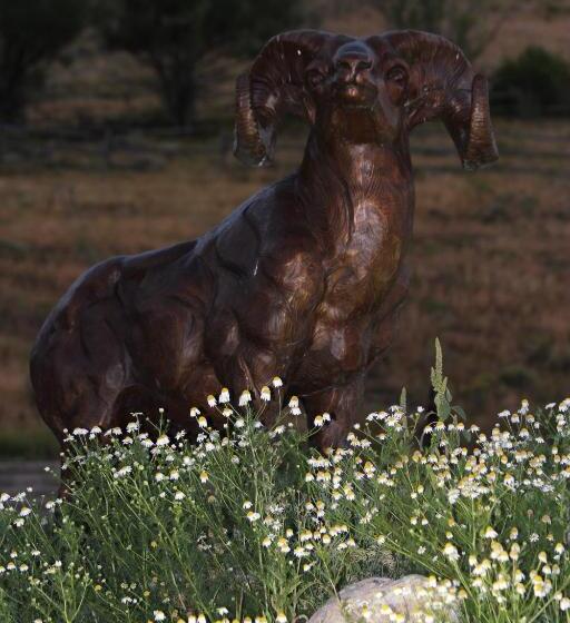 فندق Flat Creek Inn