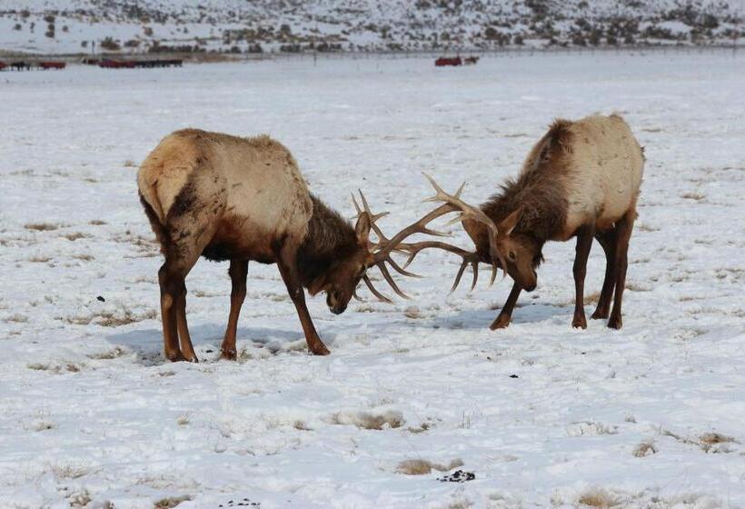 فندق Flat Creek Inn