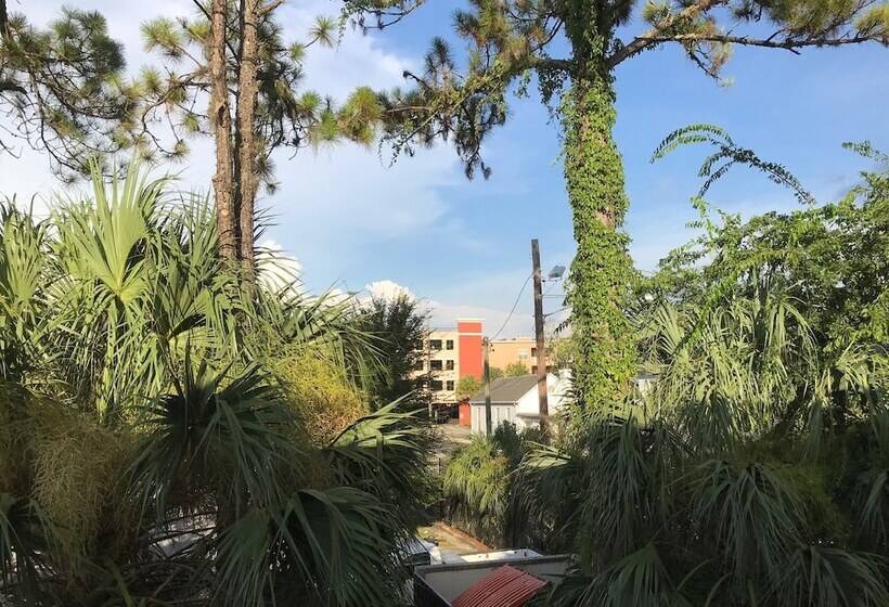 فندق Gainesville Lodge