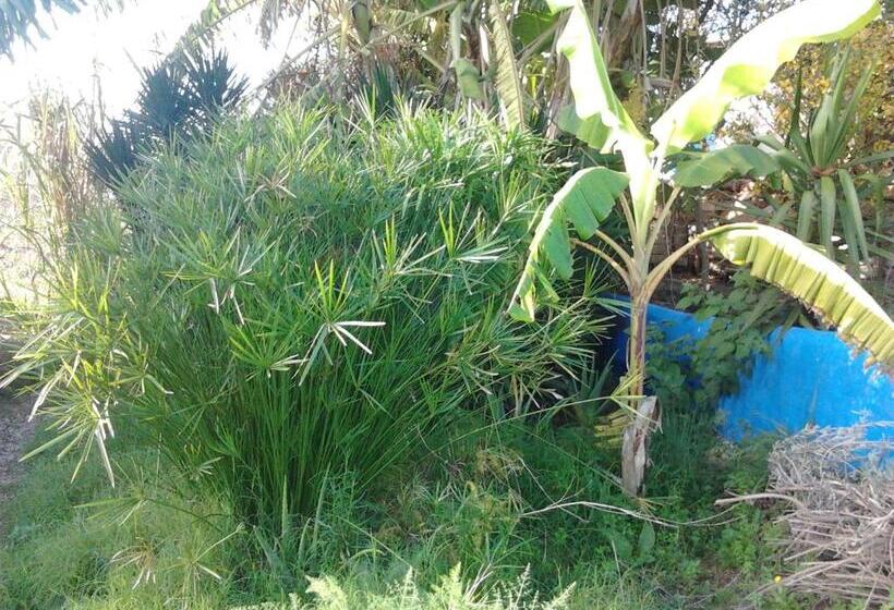 ホテル Quinta Da Fornalha   Santuario Agroecologico