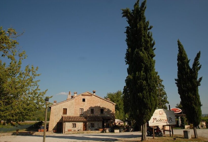 Molenda B&b