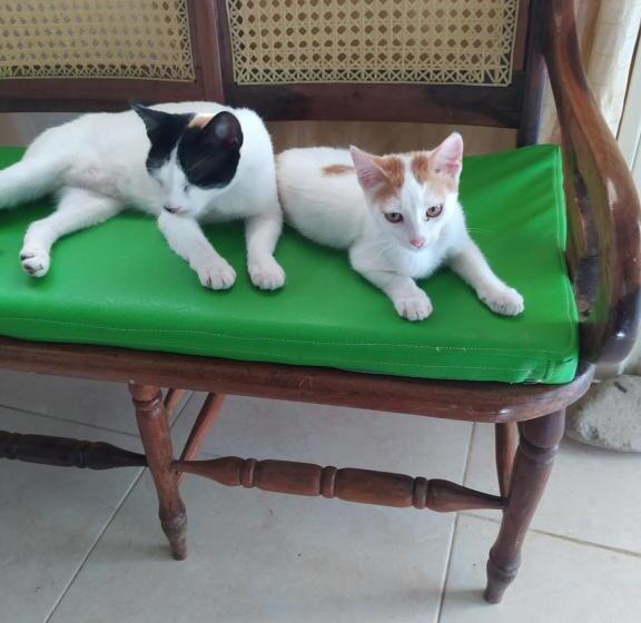 هتل Altos Del Reposo Casa Campestre