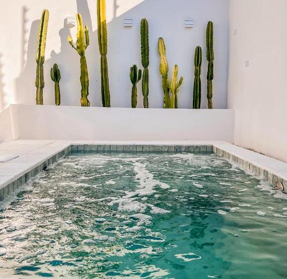 膳宿费 Casa Piscina Aquecida Canto Del Mare