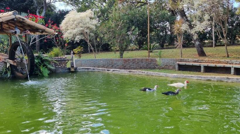 ペンション Sítio Roda D água