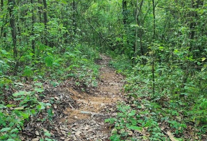 ペンション Sítio Roda D água