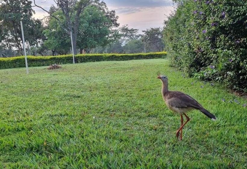 ペンション Sítio Roda D água