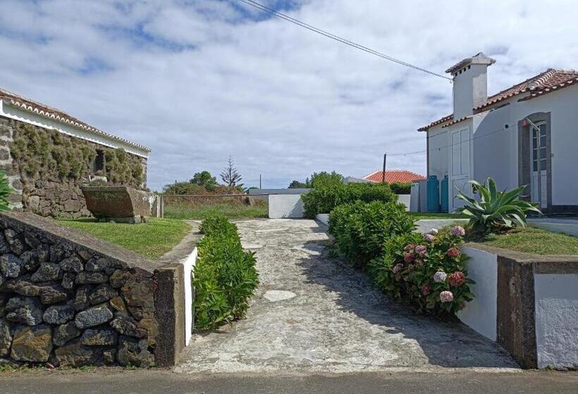 호스텔 Rosário Guest House