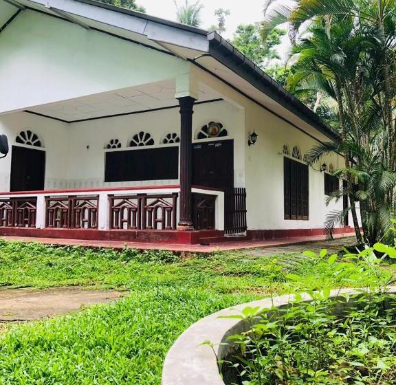 פנסיון Dana S Villa