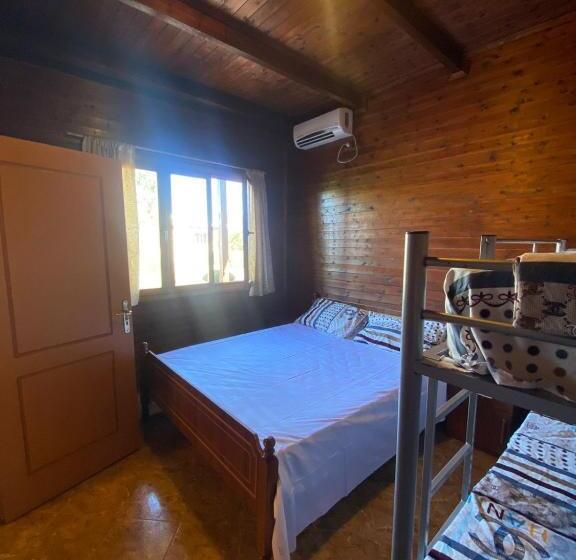 بنسيون Guesthouses Gjokazaj Tale Beachfront