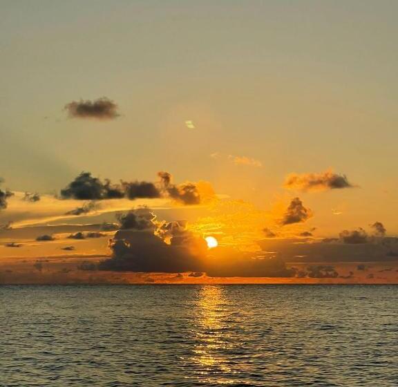 هاستل Posada Miss Anibel