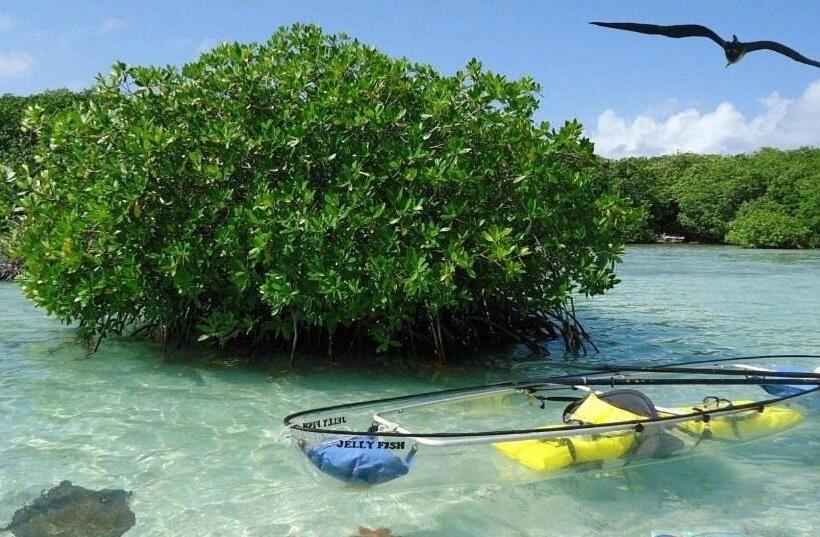 هاستل Posada Miss Anibel