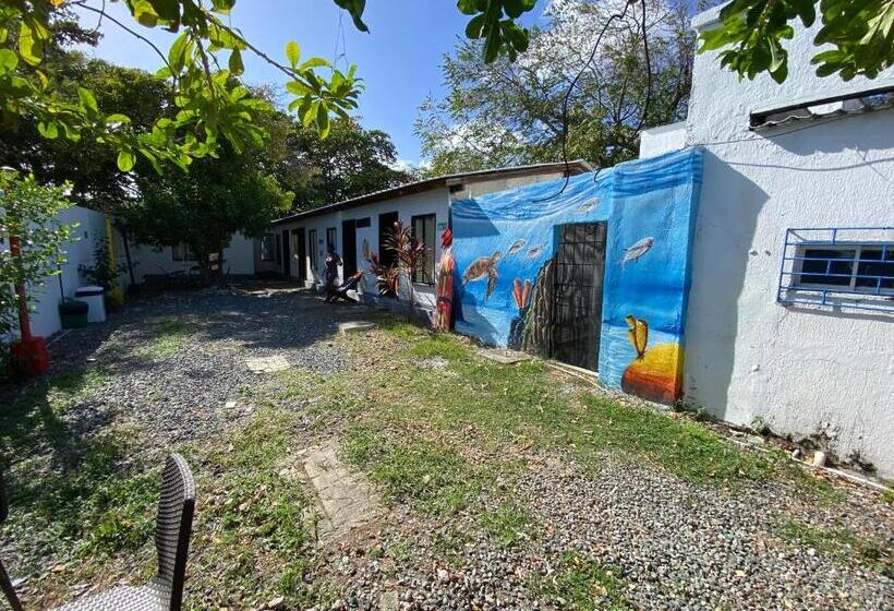 هاستل Posada Miss Anibel