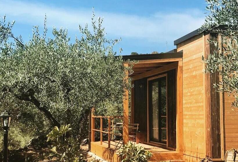 مبيت وإفطار Aprisa Garden