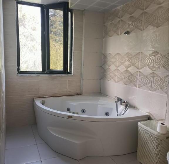 تختخواب و صبحانه Holistic Balance