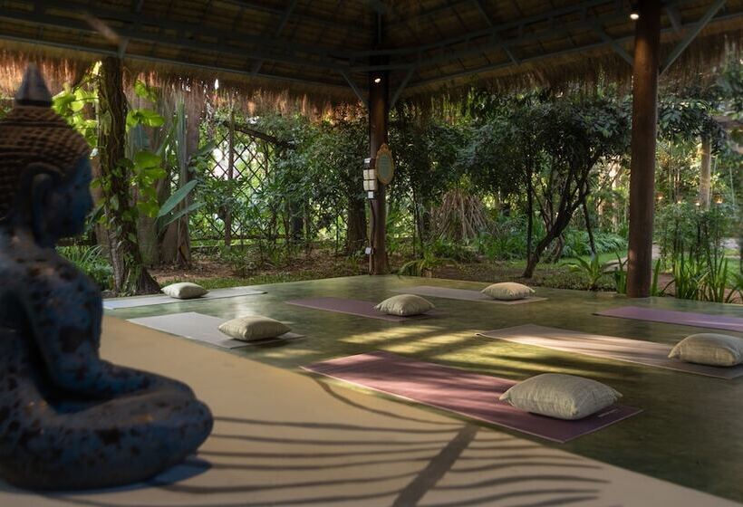 酒店 Through The Looking Glass Wellness Retreat Resort