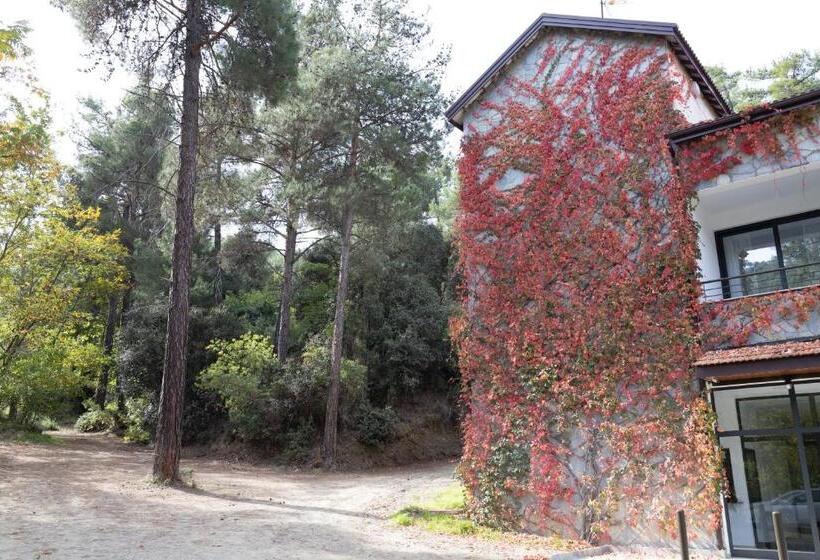 هاستل Rifugio Retreat Bed&breakfast