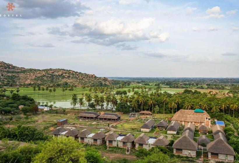 旅馆 Zostel Hampi