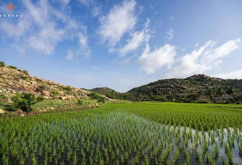 旅馆 Zostel Hampi