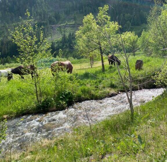 مبيت وإفطار Zimmer Haus Christina