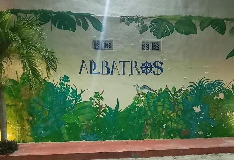 فندق Albatros