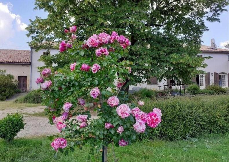 ペンション Domaine De Labèque