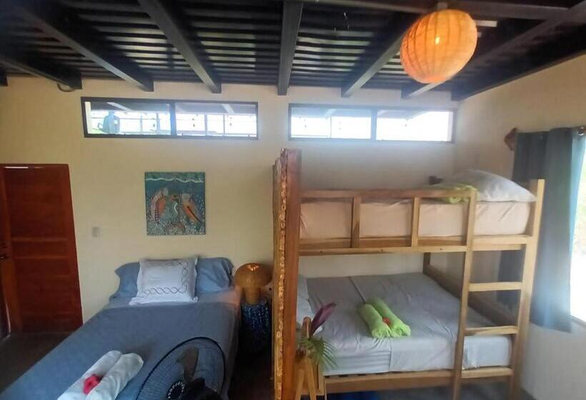 بنسيون Four Trees Jungle Lodge