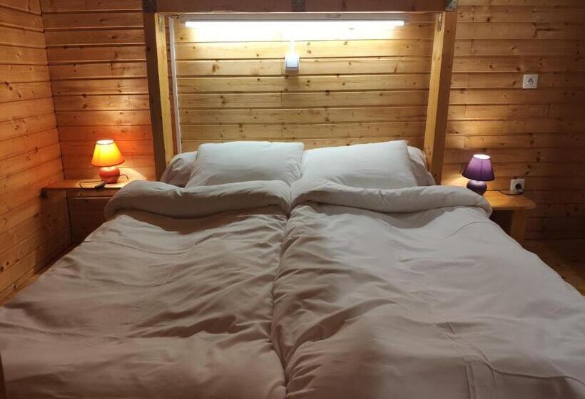 旅馆 Bed & Dorms Triberg