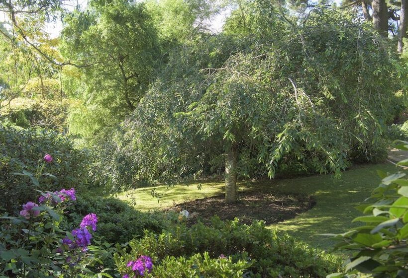 Bed and Breakfast Botanica Retreat   Village Spa & Stay