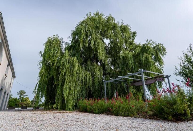 ベッドアンドブレックファースト Chez Phil