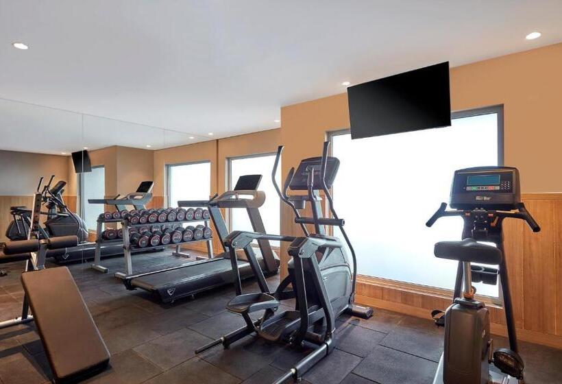 酒店 Holiday Inn Express Bengaluru Bommasandra, An Ihg