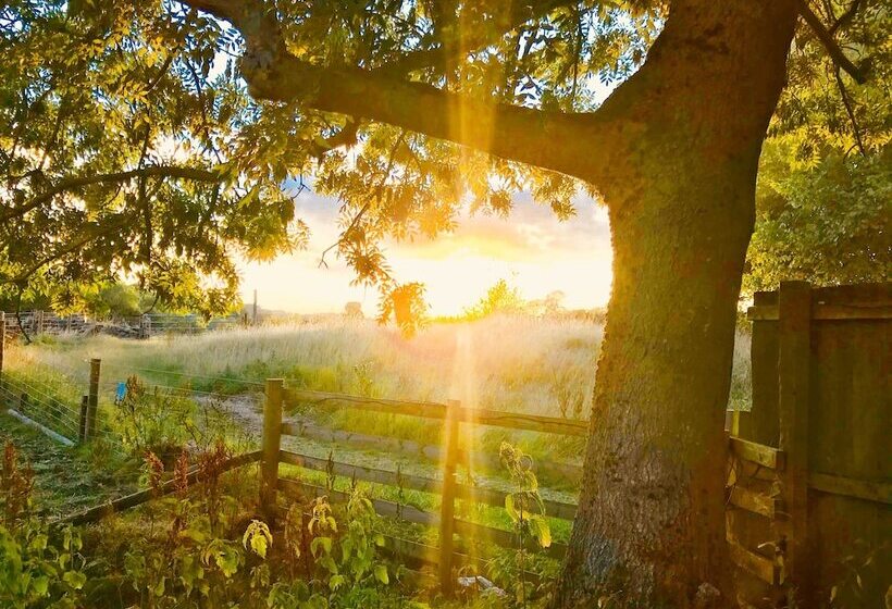 בית מלון כפרי Gratton Grange Farm Bed & Breakfast