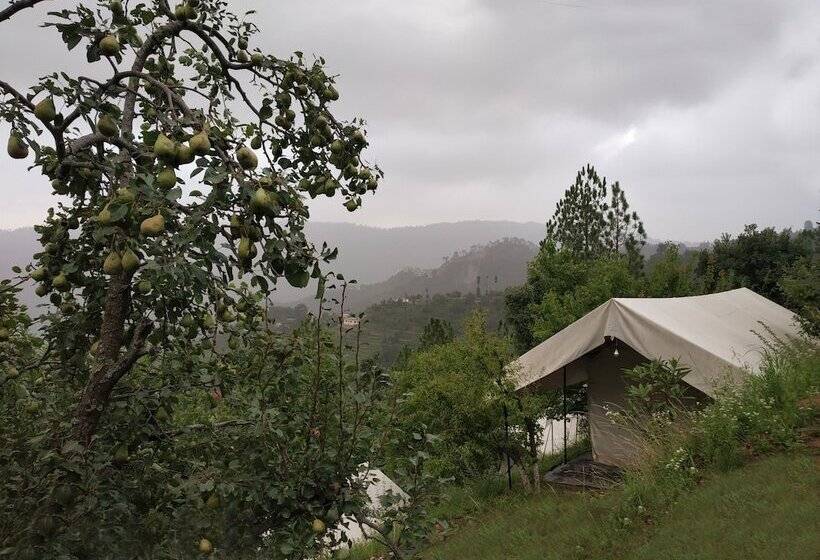 酒店 Himview Camp
