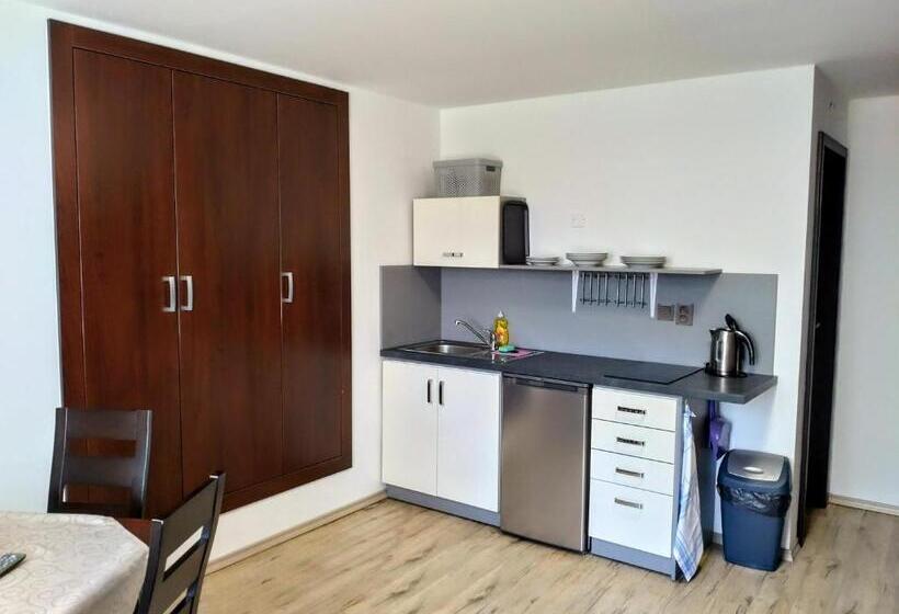 פנסיון Penzion Malé Lipno