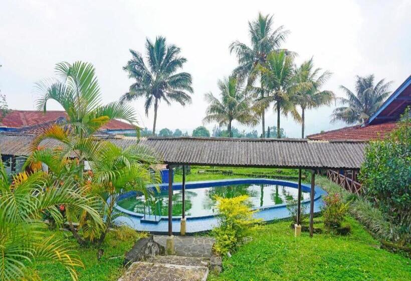 هتل Lembah Nyiur By Oyo