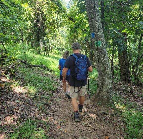 Moonlight Manor Bed And Breakfast