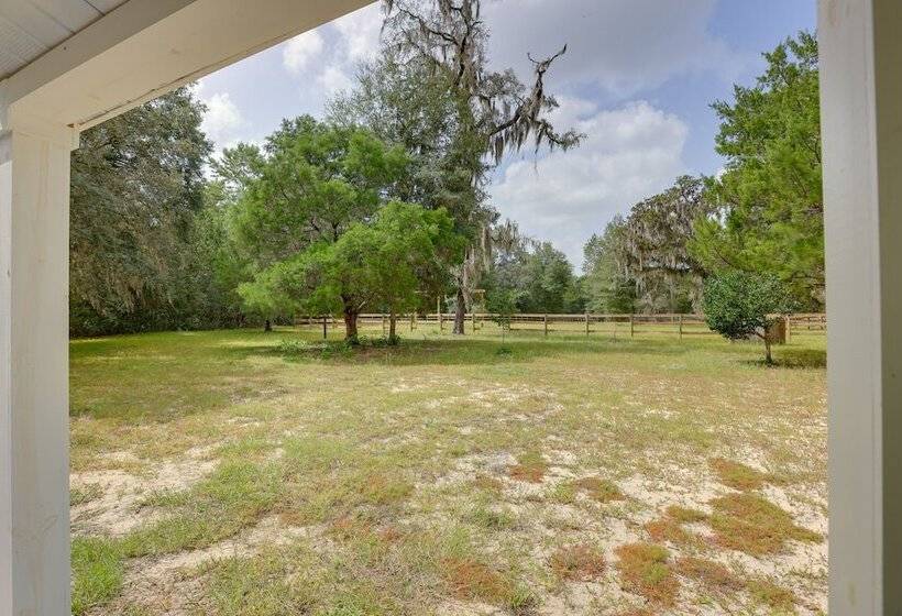Peaceful Country Home In Williston: Horses Welcome