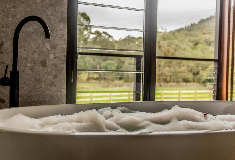 膳宿费 Sambar Hills  Kings #3