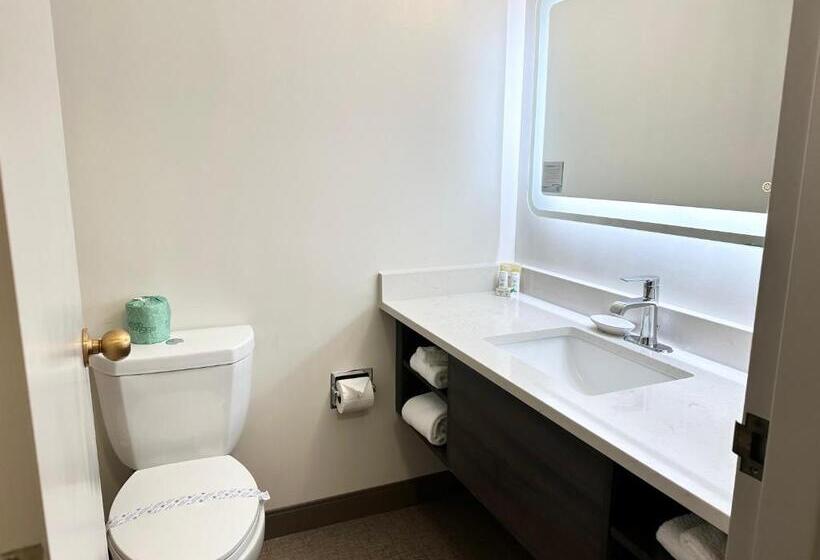 مسافرخانه Kiteville Cedar Rapids