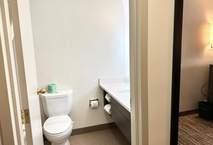 مسافرخانه Kiteville Cedar Rapids