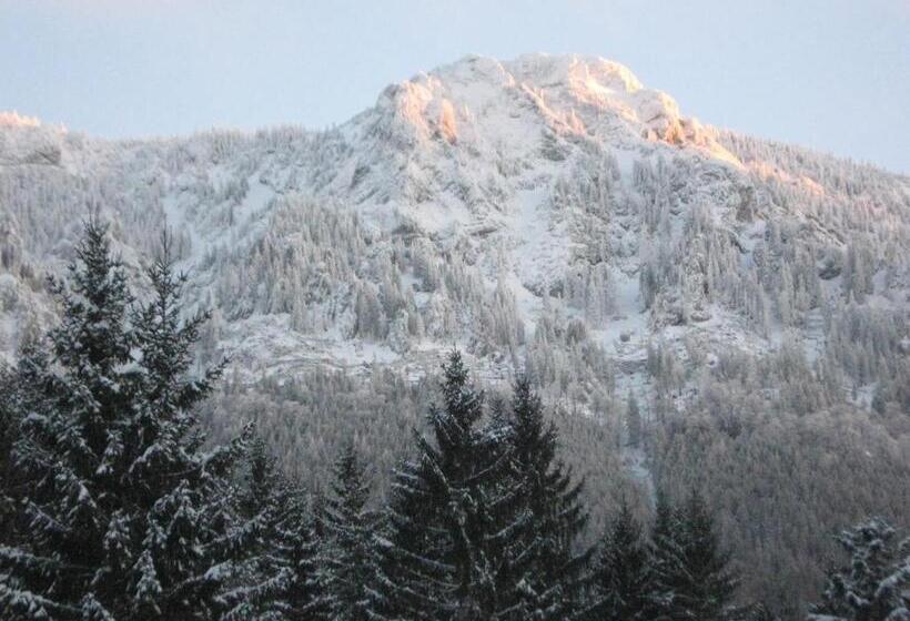 호텔 2 Sterne Gasthof Pension Kienklause Kein Wifi Wlan Keinen Handyempfang