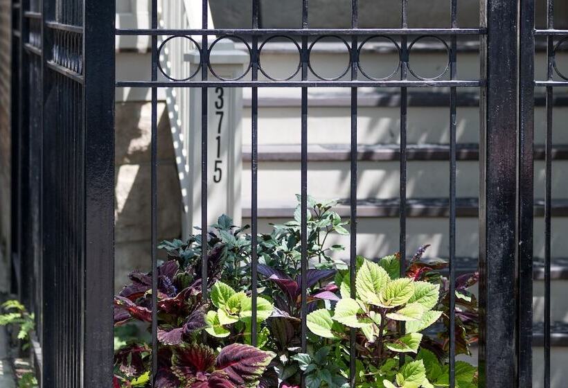 בית מלון כפרי Chicago Guest House Wrigleyville