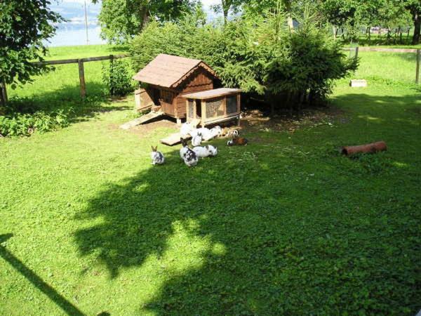 ホテル Gasthaus Schöberingerhof