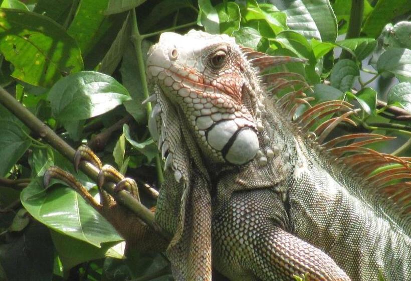 فندق صغير Montaña Verde