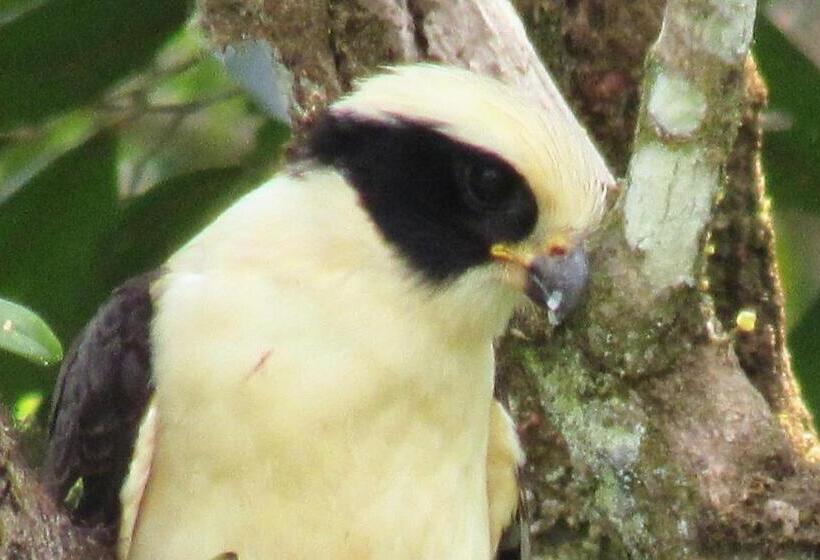فندق صغير Montaña Verde