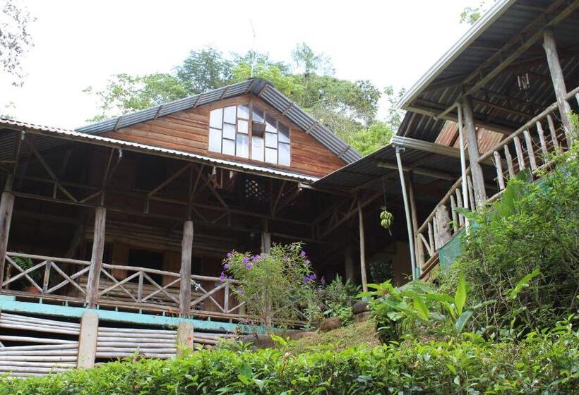 فندق صغير Montaña Verde