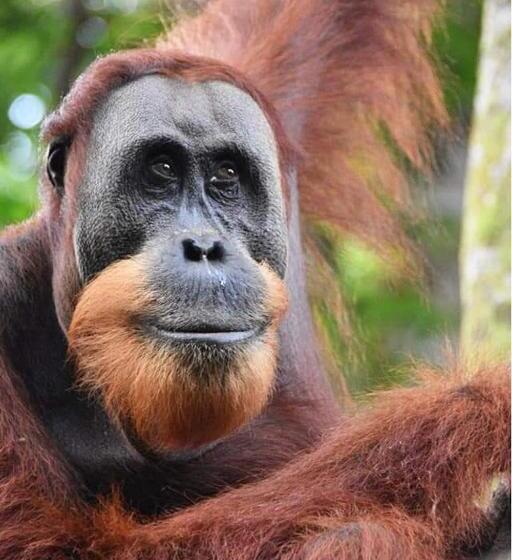 تختخواب و صبحانه Eco Trekking Lodge Bar & Tour S