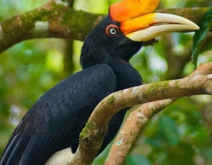 تختخواب و صبحانه Eco Trekking Lodge Bar & Tour S